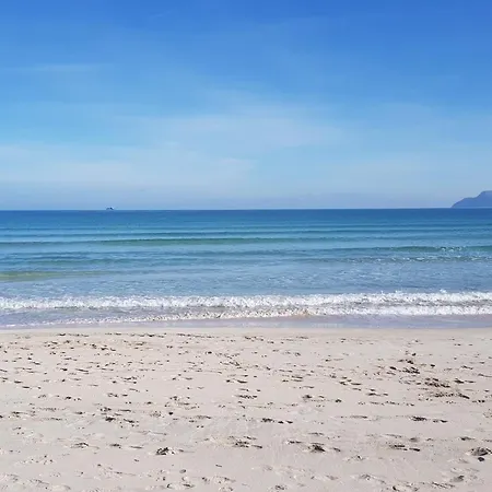 Gospodarstwo wiejskie Ideal Mallorca - Maria *